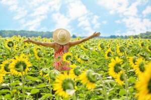 sunflowers-3640938__340