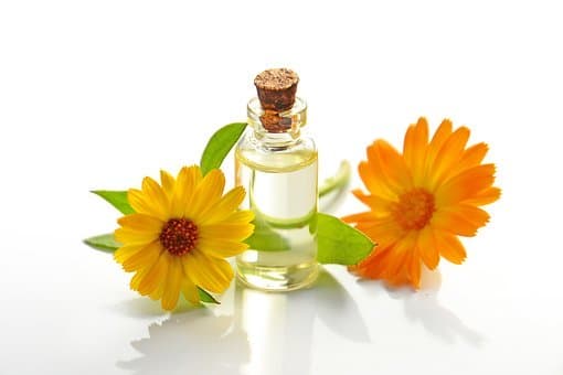 essential-oil-3139479__340